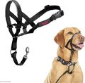 Halti Kopfhalsband Hundehalsband Hund Training Einfarbig Schwarz Größe 3