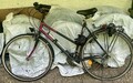 damenfahrrad WINORA JOURNEY 28 zoll Violett -Schwarz