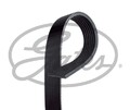 GATES (7PK1855) Keilriemen, Keilrippenriemen für BMW CHRYSLER DODGE LAND ROVER