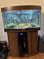 Aquarium Juwel Vision 180 Liter