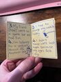 True Facts That Sound Amazing Zine - Ausgabe 2 (ORIGINALKOPIE)