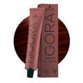 Schwarzkopf Igora Color 10 6-65 Schokoladengold Dunkelblond 60ml