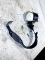 VW GOLF PLUS 5M1, 521 Sicherheitsgurt hinten links 5M0857805 1.39 31449451