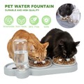 Futternapf Katze Erhöht 15 ° Kippbare Fressnapf Katzen Napfset mit Wasserflasche