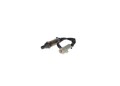 BOSCH 2x Lambdasonde Sensor Abgassteuerung 0 258 005 717/2x für FORD MONDEO 3 2