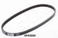 ASHIKA 112-4PK800 Keilrippenriemen für HONDA KIA  passend für NISSAN SMART