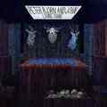 CD Peter Bjorn and John Living Thing Wichita