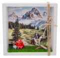 Geldgeschenk Verpackung Schweiz Berge Wandern Rucksack Reise Urlaub Gutschein