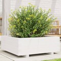 Pflanzkübel Blumenkübel Pflanzkasten Hochbeet Blumenkasten Massivholz vidaXL