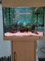 100l Juwel Aquarium mit Unterschrank und viel Zubehör