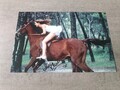 Sexy ANJA SCHÜTE Originalautogramm GROSSFOTO! 