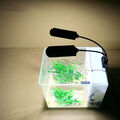LED Aquarium Beleuchtung Klemmleuchte Aquariumleuchte Fisch Tank Licht Lamp NICE