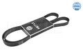 Keilrippenriemen MEYLE 050 006 1390 für PEUGEOT FIAT CITROËN SUZUKI 206 SCUDO 7A