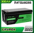 12V 300Ah Lithium Batterie LiFePO4 Akku BMS 15000+ Zyklen Wohnmobil Solaranlage