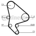 CONTINENTAL CTAM (CT1037WP1) Wasserpumpe+Zahnriemensatz für CITROEN FIAT