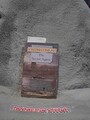 The Secret Agent: A Simple Tale (Wordsworth Collection) Conrad, Joseph: