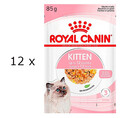 (EUR 25,66/kg) Royal Canin Kitten in Gelee Nassfutter für Katzenwelpen 12 x 85 g