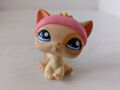 Littlest Pet Shop LPS #1521 Cat With Hat 2005 Hasbro Free Shipping Worldwide 