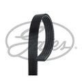 Keilrippenriemen Micro-V® GATES 5PK1545 für Opel Astra H