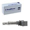 BORGWARNER (BERU) ZÜNDSPULE ZÜNDMODUL passend für AUDI Q7 SKODA SUPERB VW ATLAS
