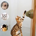 Natural Cat Snacks Catnip Cleaning Teeth Nutrition Ball  Toy Wall Mount