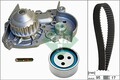 Wasserpumpe + Zahnriemensatz Schaeffler INA 530 0018 31 für RENAULT 19 CLIO 1 2