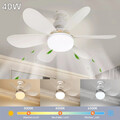40W LED Deckenleuchte mit Ventilator Deckenventilator mit Beleuchtung Dimmbar