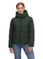 ragwear  CLLEA Sportliche Damen Winterjacke Steppjacke mit Stehkragen und Kapuze
