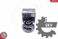 ESEN SKV 29SKV366 Radlagersatz Radlager Satz für BMW für Mini 