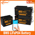 jsdsolar 100Ah 200Ah LiFePO4 Lithium Batterie Wohnmobil Akku 24V 12V Bluetooth