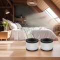 H13 Aktivkohle Ersatzfilter 2 Stück für Raumluftqualität