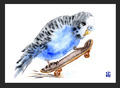 ACEO Aquarelldruck niedlich blau Budgie auf Skateboard Fine Art Gemälde von ili