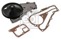 Wasserpumpe Febi Bilstein 09024 für RENAULT