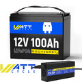 12V 100Ah LiFePO4 Akku Lithium Batterie 100A BMS Wohnmobile Camper Off-Grid
