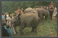 Postkarte Royal Windsor Safari Park Zoo Elefantenritt Halter veröffentlicht 1972