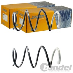 2X SPIDAN FAHRWERKSFEDERN VORNE PASSEND FÜR DACIA SANDERO LINKS+RECHTS