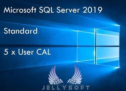Microsoft SQL Server 2019 Standard USER CAL ✔ 5 Nutzer / User CAL ✔ TOP  ✔ 