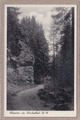 Ansichtskarte Geraberg-Elgersburg - Felspartie im Körnbachtal - schwarz/weiß