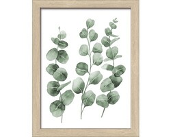 Gerahmtes Bild Eucalyptus Branches I 19x24 cm