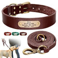 Personalisiert Hundehalsband und Leine Gravur mit Namen Welpe Halsband 4 Farben 