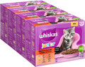 WHISKAS JUNIOR Katzenfutter Nass Klassische Auswahl in Sauce 48 x 85g