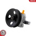 ESEN SKV 10SKV335 Hydraulikpumpe, Lenkung für MERCEDES-BENZ