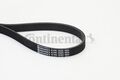 Keilrippenriemen Continental CTAM 6PK1555 für AUDI BMW CHEVROLET FORD OPEL