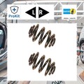 2x ORIGINAL® Bilstein Fahrwerksfeder Hinten passend für VW Transporter IV Bus