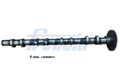 FRECCIA (CM05-2317) Nockenwelle Auslassseite für BMW ALPINA
