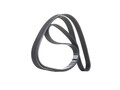 DAYCO 6PK1740 Keilrippenriemen für FORD FOCUS (DAW, DBW) FUSION (JU) 1740,0mm
