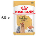 (EUR 10,97 / kg)  Royal Canin Yorkshire Terrier Adult Wet - Nassfutter 60 x 85 g
