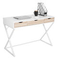 Schreibtisch Computertisch Arbeitstisch Bürotisch PC Tisch Holz Stahl TS40ws