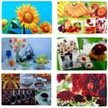 Platzdeckchen Tisch Unterlage Matte Platzmatte  abwaschbar Platzset Tischset PVC