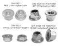 Flanschmuttern DIN 6923 /  Flanschmuttern m. Polyamidklemmteil DIN 6926 A2 / V2A